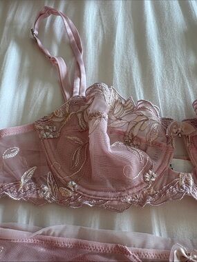 Lise Charmel French lace Sheer Pink Lingerie Set - Bra & Brief size 32C